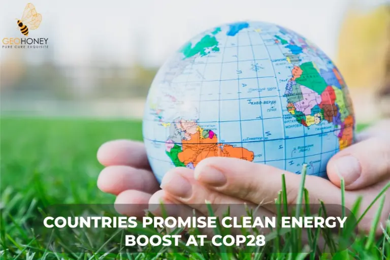 Countries pledge to triple renewable energy capacity by 2030 at COP28, phase out fossil fuels, and increase nuclear power.